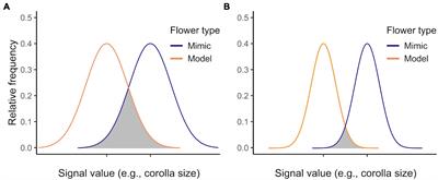 The Size of it: Scant Evidence That Flower Size Variation Affects Deception in Intersexual Floral Mimicry